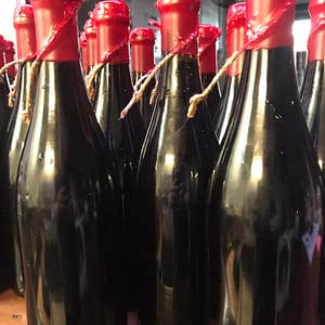 Special Beers in Bottles